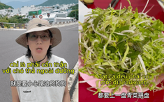 Gần 2 triệu người thích thú xem chàng trai Trung Quốc review cuộc sống ở Việt Nam: Yêu cả nền ẩm thực chỉ vì... đĩa rau sống, một đất nước toàn những điều "lạ lùng" dễ thương!