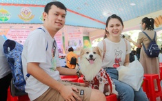600 thú cưng giống độc lạ khắp thế giới tranh tài ở TPHCM để gây quỹ cứu hộ động vật