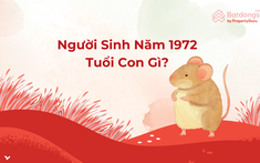 Người Sinh Năm 1972 Tuổi Con Gì? Cần Lưu Ý Gì Về Phong Thủy Nhà Ở?