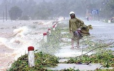 Hạn chế thiệt hại thiên tai: Kinh nghiệm từ Nhật Bản