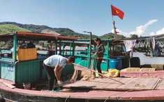 Huyện Tiên Yên: Chương trình tín dụng cho vay phát triển sản xuất giải ngân đạt doanh số cao nhất trong năm 2024