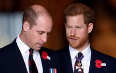 Mặc cho những rạn nứt, Thân vương William và em trai Harry vẫn sở hữu rất nhiều điểm chung tương đồng