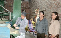 Thúc đẩy bình đẳng giới để giảm nghèo cho phụ nữ khu vực nông thôn