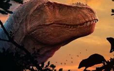 Hóa ra động vật có vú hiện đại bị 'mù màu' đều là do khủng long bạo chúa Tyrannosaurus rex?