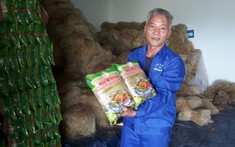 Trấn Yên: Điểm sáng về triển khai thực hiện Chương trình OCOP của tỉnh Yên Bái