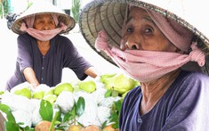 Chuyện một ngôi chùa miền Tây gửi trái cây cho cụ bà ở Sài Gòn bán mưu sinh: "Ngoại sống nhờ người dân trong thành phố này, người ta thương ngoại lắm"