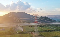 Vai trò 'hậu phương lớn' trong thi công Đường dây 500 kV mạch 3