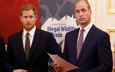 Có 3 nhân vật có thể là chìa khóa hàn gắn cho mối quan hệ rạn nứt giữa anh em William và Harry