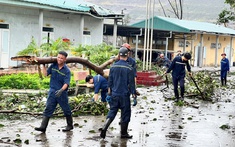 Đoàn Than Quảng Ninh huy động hơn 5.000 đoàn viên, thanh niên tham gia khắc phục thiệt hại do bão số 3 gây ra