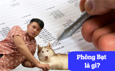 Cũng là "phông bạt" ở một vũ trụ khác!