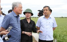 Phó Thủ tướng Nguyễn Hòa Bình: Thái Bình tập trung tiêu úng, giảm thiểu thiệt hại về lúa và hoa màu