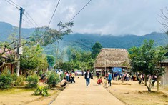 Xuân an cư nơi đại ngàn Trường Sơn