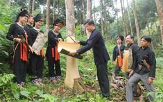 Huyện được mệnh danh là “thủ phủ” cây quế của tỉnh Yên Bái đạt chuẩn nông thôn mới