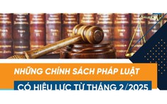 Những chính sách pháp luật có hiệu lực từ tháng 2/2025