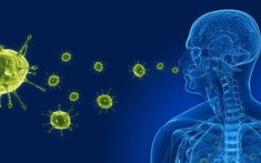 Bộ Y tế thông tin virus gây viêm phổi trên người tại Trung Quốc