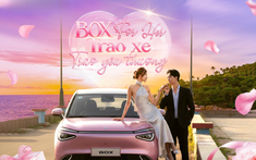 Món quà 20/10 bất ngờ cho người phụ nữ bạn yêu thương - Dongfeng Box