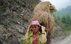 Sơn La ghi nhận nhiều kết quả khả quan đối với lĩnh vực giảm nghèo bền vững
