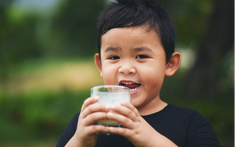 Nỗi lo sữa giả chấm dứt từ đây - Lazada cùng các thương hiệu sữa hàng đầu triển khai chương trình "Cam kết sữa chính hãng"