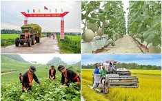 Kết quả giảm nghèo bền vững vượt nhiều chỉ tiêu đề ra