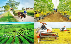 Thái Nguyên: Chương trình mục tiêu quốc gia giảm nghèo bền vững đạt nhiều hiệu quả