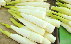 Ngày càng nhiều người tử vong vì suy thận, bác sĩ khuyên: Chớ dại đụng nhiều 5 loại rau này