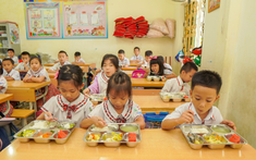 Kinh nghiệm từ Đức và EU: Dinh dưỡng học đường là một nền tảng cho thế hệ tương lai khỏe mạnh và thông minh