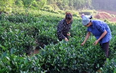 Một số giải pháp giảm nghèo tại Hà Tĩnh trong thời gian tới