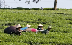 Thực hiện xóa đói, giảm nghèo ở miền núi Việt Nam