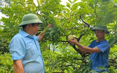 Thái Nguyên triển khai đồng bộ các giải pháp trong xóa đói giảm nghèo