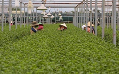 Xóa đói giảm nghèo nhanh và bền vững với mục tiêu xây dựng nông nghiệp sinh thái, nông thôn hiện đại, nông dân văn minh