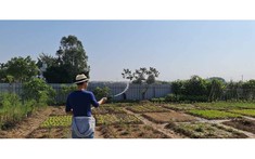 Thành tựu ấn tượng trong xóa đói giảm nghèo tại Việt Nam