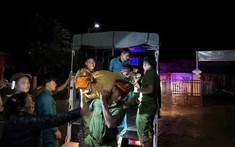 Tuổi trẻ Đà Nẵng ra quân làm nhiệm vụ ứng phó bão số 12