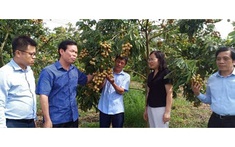 Sơn La lấy nông nghiệp hàng hóa công nghệ cao, công nghiệp chế biến nông sản là trung tâm, gắn với du lịch sinh thái, văn hóa để phát triển nhanh và bền vững