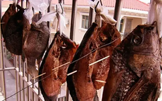 2 loại cá dễ gây ung thư nhiều người ăn