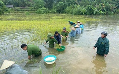 Thủ tướng yêu cầu phải thần tốc hơn nữa, huy động tối đa lực lượng khắc phục nhanh nhất hậu quả bão, mưa lũ