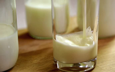 Loại sữa hiếm chỉ chiếm 0.014% tổng sản lượng sữa bò toàn cầu