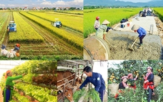 Giai đoạn 2026-2030 sẽ chi 360.000 tỷ đồng cho mục tiêu giảm nghèo bền vững