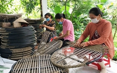 Hướng tới giảm nghèo bền vững thông qua ứng dụng chuyển đổi số