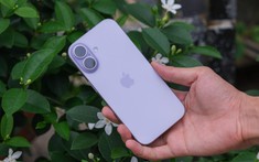 iPhone 17 256GB nên mua không? iPhone 17 có những phiên bản nào?