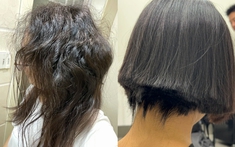 Liệu phần tóc chẻ ngọn có thể tự phục hồi nếu không cắt không?