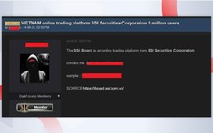 Trong "cơn bão" rò rỉ dữ liệu, doanh nghiệp cần biết điều này để giữ vững "phòng tuyến số"