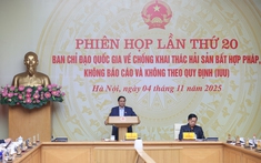 Thủ tướng: Người đứng đầu bộ, ngành, địa phương phải chịu trách nhiệm trực tiếp, toàn diện nếu để tàu cá vi phạm IUU