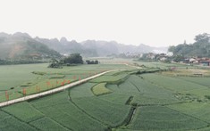 Kết quả ấn tượng trong công tác giảm nghèo bền vững tại Hà Giang