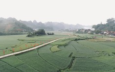 Bước tiến trong mục tiêu giảm nghèo bền vững tại Thanh Hóa