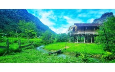 Chương trình mục tiêu quốc gia giảm nghèo tại Điện Biên đạt được nhiều kết quả khả quan