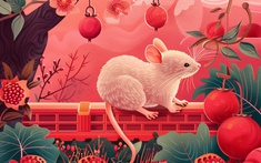 Tử vi tuần mới (17/11 - 23/11): Tiền bạc tự chảy vào túi 3 con giáp này!