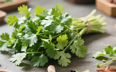 Người ăn rau mùi thường xuyên, trong thời gian ngắn, cơ thể có thể xuất hiện 5 thay đổi