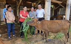 Gia Lai thực hiện giảm nghèo đa chiều và bền vững 