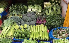 Ra chợ thấy 4 loại rau này, mạnh dạn nhắm mắt MUA LUÔN