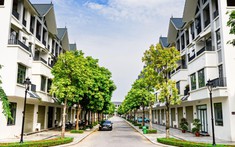 Liền kề Hinode Royal Park – Lợi thế kép giữa an cư và đầu tư sinh lời
